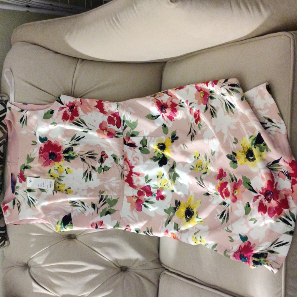 Pink Floral Dress, Women Size 10, Apt 9, Brand New with Tag